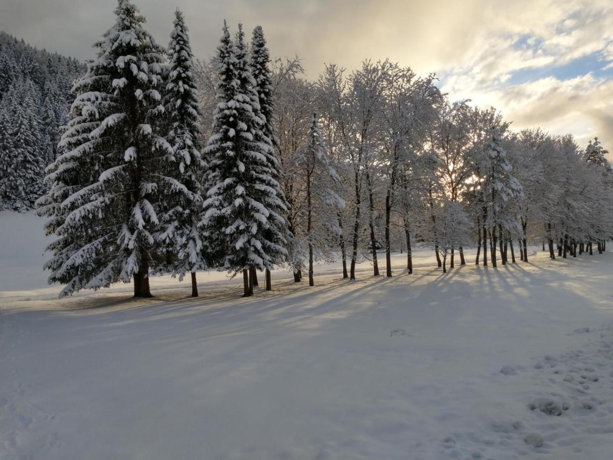Alpenlandhof Διαμέρισμα Bad Kleinkirchheim Εξωτερικό φωτογραφία